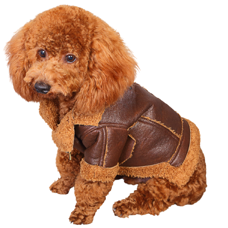 HTB1QpNWv1uSBuNjy1Xcq6AYjFXaq-removebg-preview (1).png