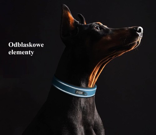 Obroża dla psa fida black