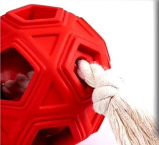 Gryzak dla psa na sznurku