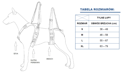 rehab rozmiar tył.png