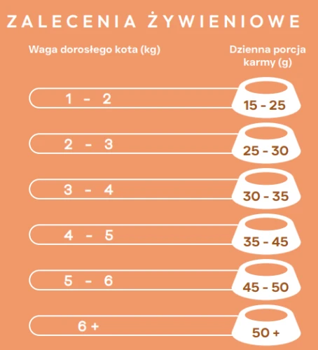 Zrzut ekranu 2026-06-05 120800.png