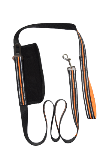 pas samochodowy ze smyczą dla psa