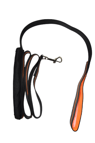 pas samochodowy dla psa