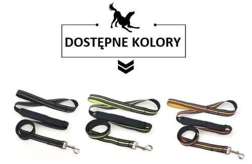 pas samochodowy i smycz