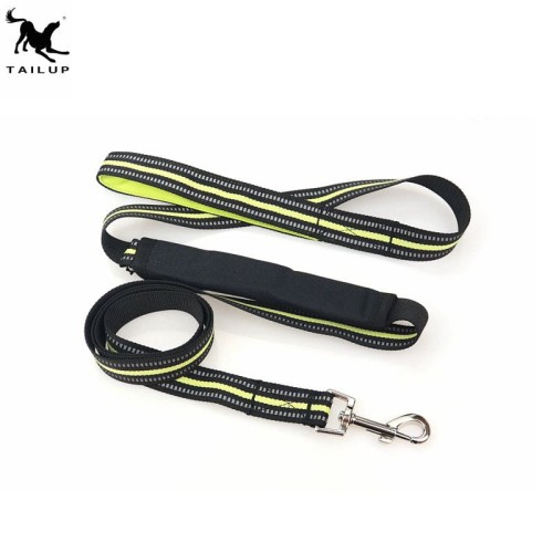 pas samochodowy dla psa