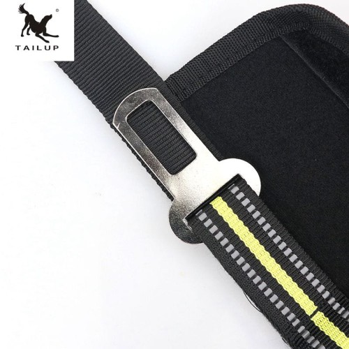 pas samochodowy dla psów