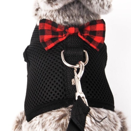 Szelki dla królika czarne ze smyczą