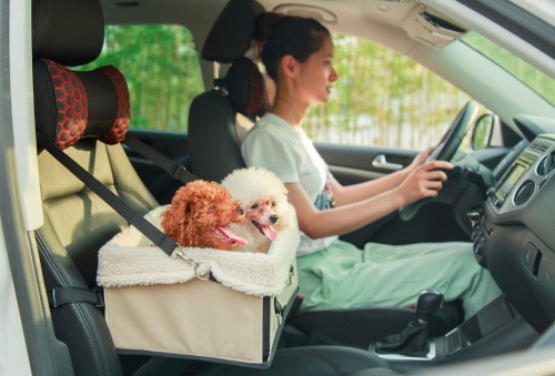 Kosz transportowy do samochodu TAILUP