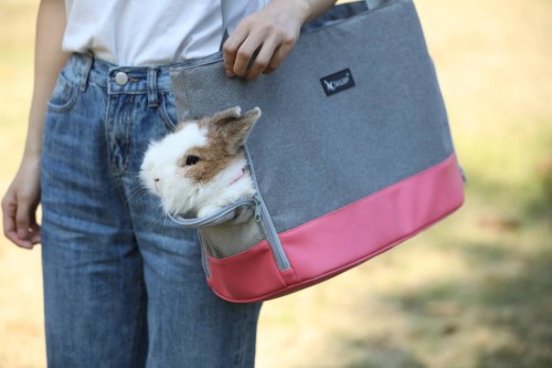 torba do transportu królika