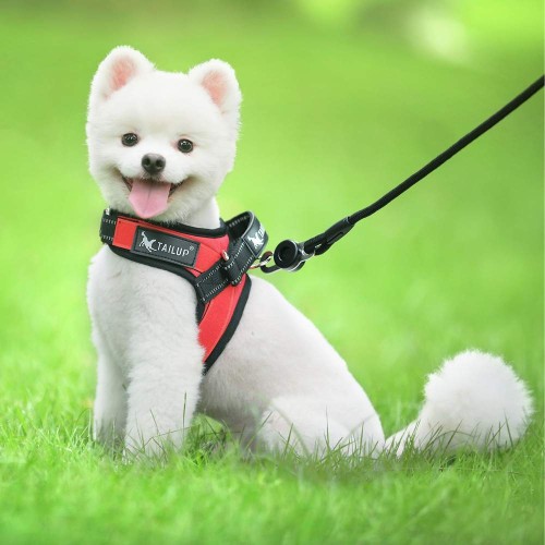 szelki dla małego psa czerwone