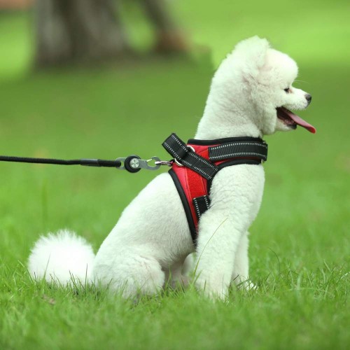 szelki dla małego psa TAILUP