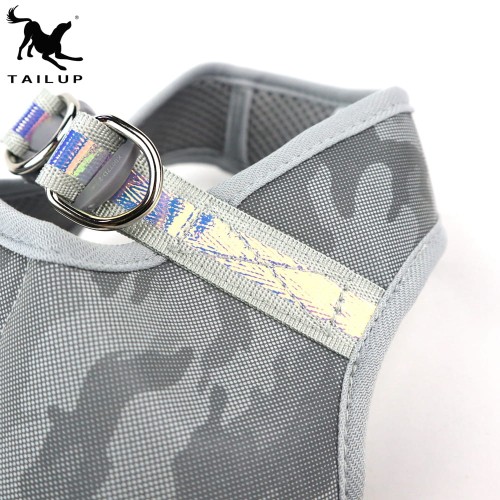 Szelki dla psa ze smyczą