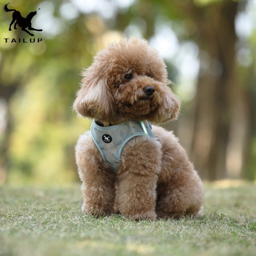 szelki dla małego psa