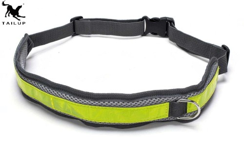 pas do biegania z psem