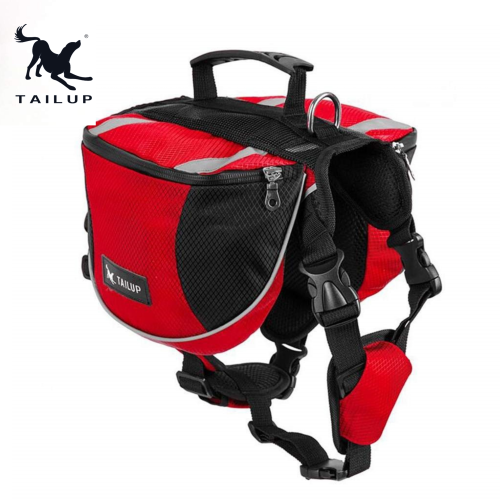 Szelki dla psa w góry