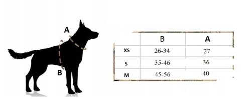 MALUTKIE PIESki rozowe ,czerw.jpg