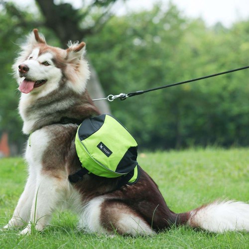 szelki dla psa, siodło zielone