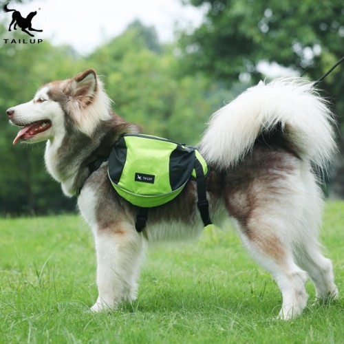 zielone szelki na psa