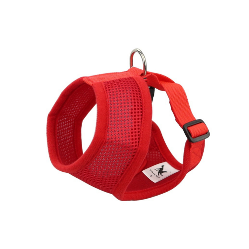 Szelki dla małego yorka