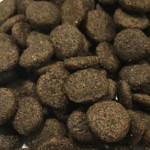 Karma bezzbożowa dla dorosłego psa Jagnięcina 2kg