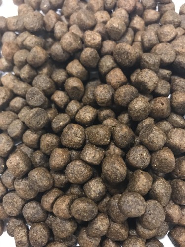 Karma bezzbożowa dla szczeniaka Łosoś 2kg