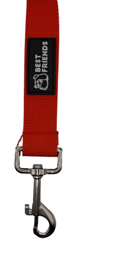 pas samochodowy dla psa