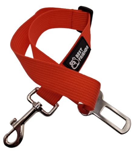 pas samochodowy dla psa