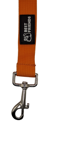 pas samochodowy dla psa