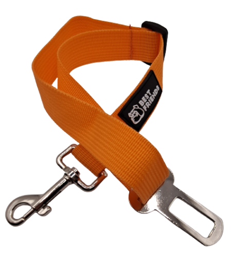 pas samochodowy dla psa