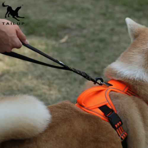 smycz krótka dla psa