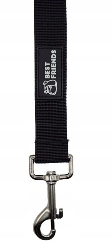 pas samochodowy dla psa