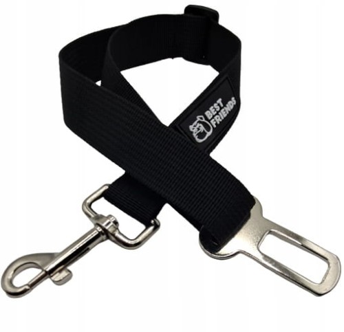 pas samochodowy dla kota