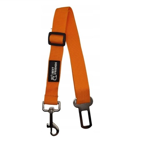 pas samochodowy dla psa