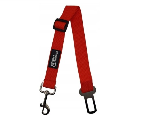 pas samochodowy dla psa